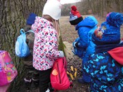 Výprava do lesa za zvířátky